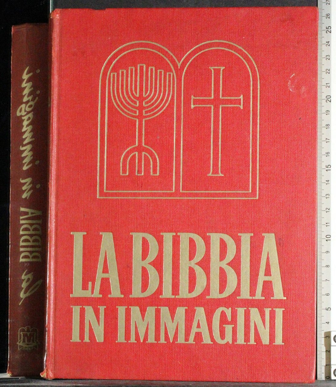 La Bibbia in immagini