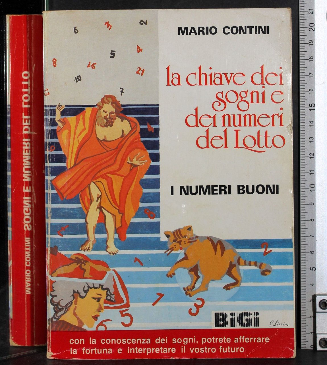 La chiave dei sogni e dei numeri del Lotto | Immagine principale