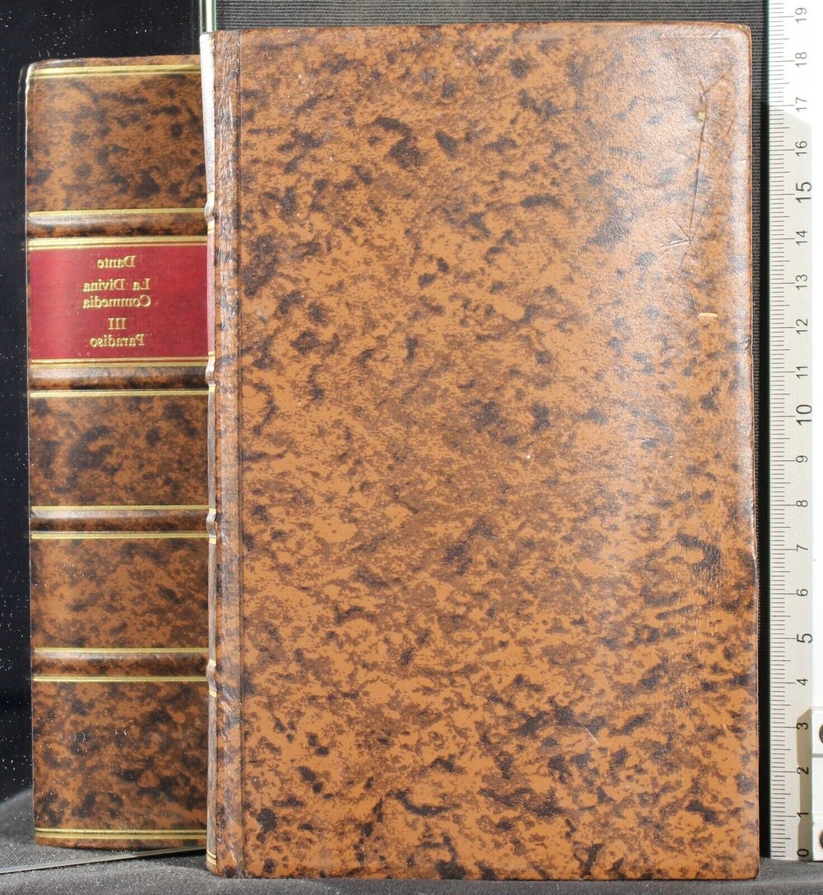 La Divina Commedia. Vol 3. Paradiso | Immagine principale