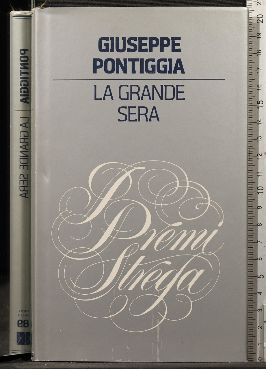 La grande sera | Immagine principale