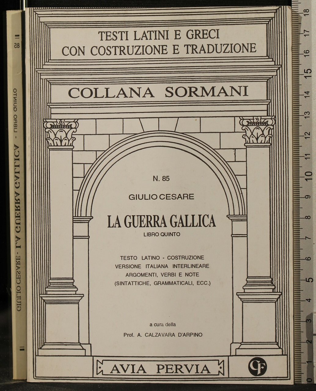 LA GUERRA GALLICA. LIBRO QUINTO | Immagine principale