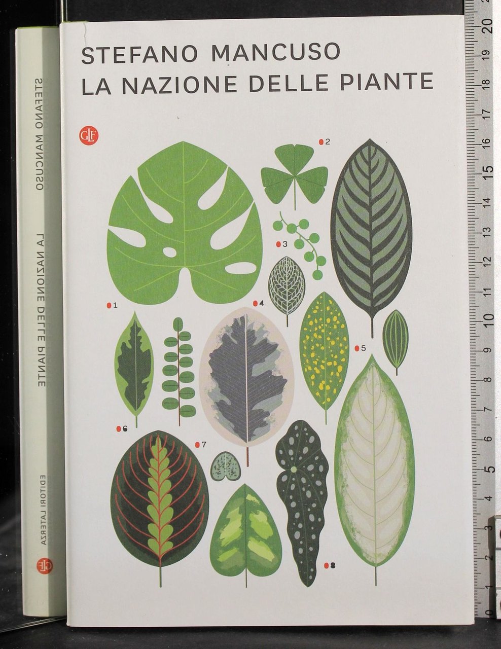 La nazione delle piante | Immagine principale