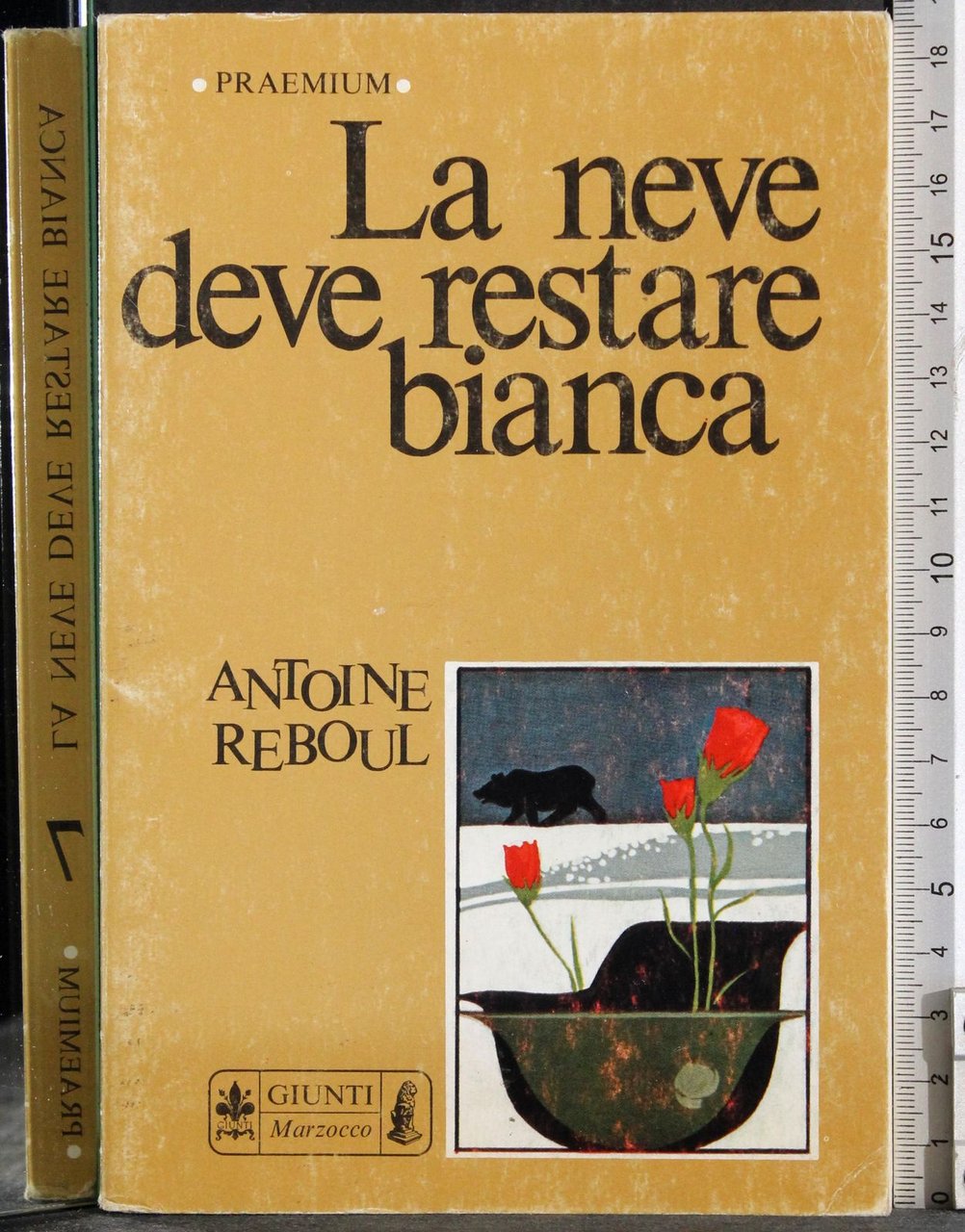 La neve deve restare bianca | Immagine principale