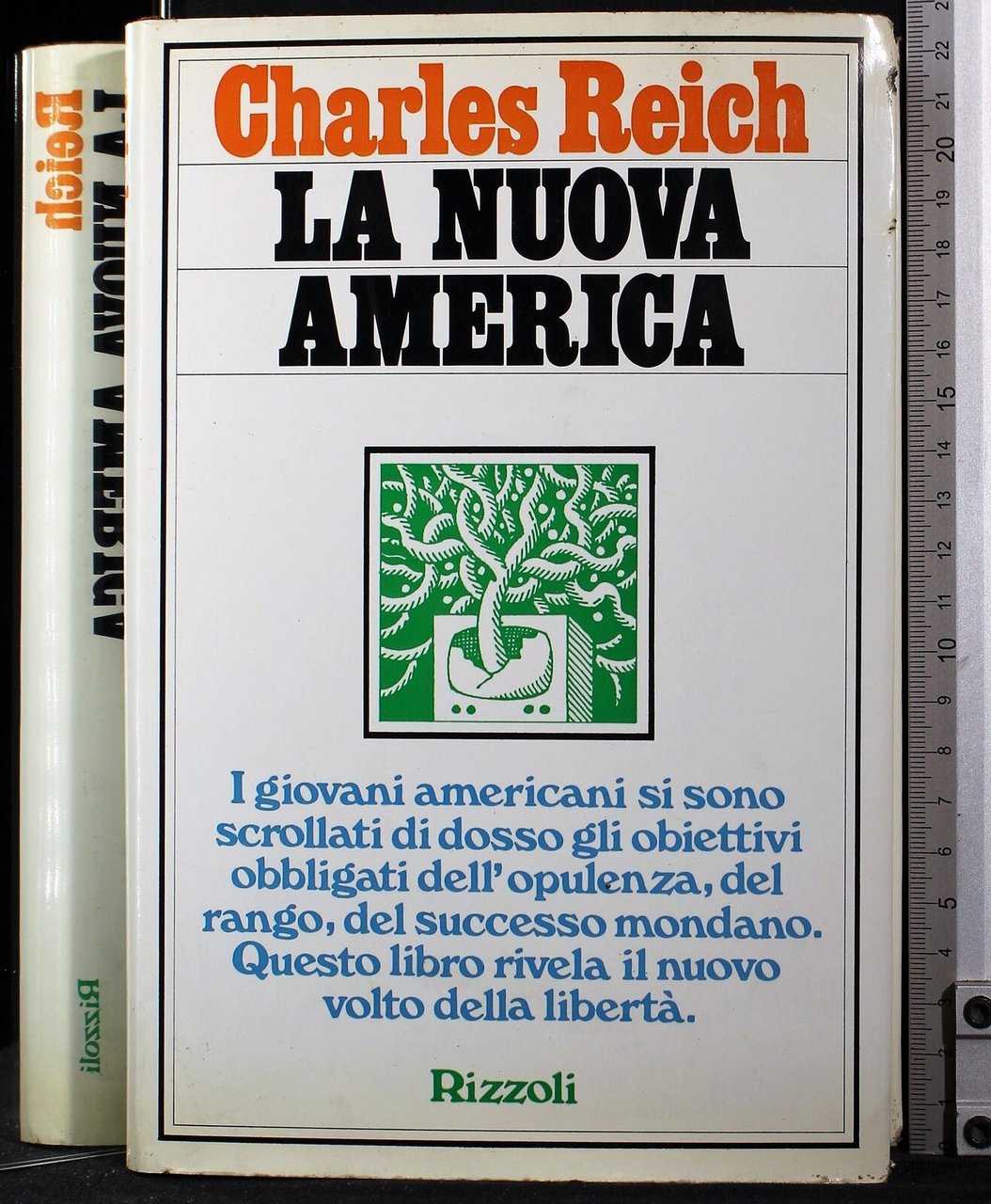 La nuova America | Immagine principale