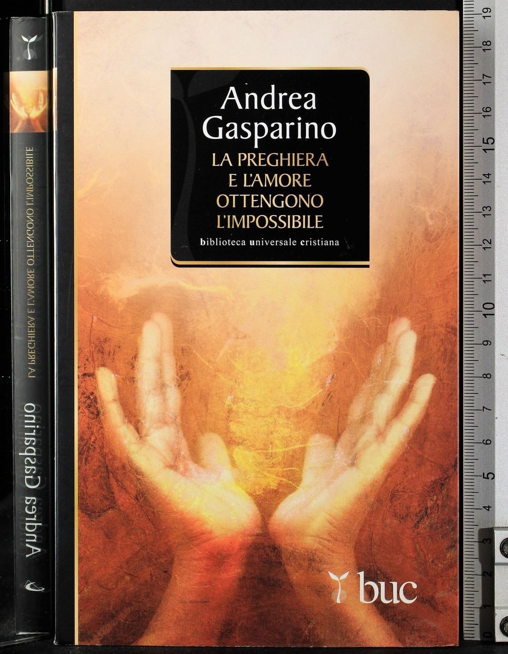 La preghiera e l'amore ottengono l'impossibile