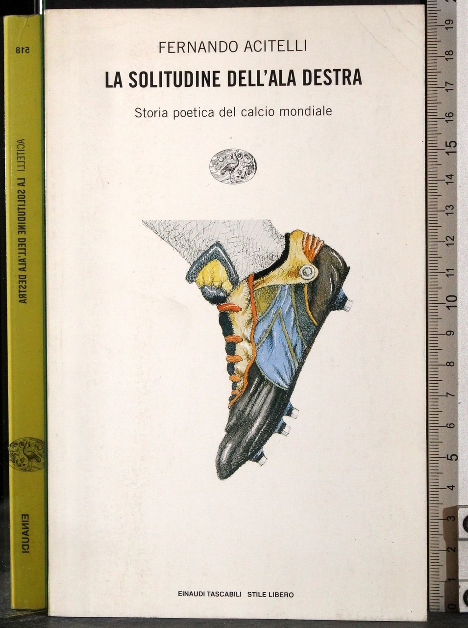 La solitudine dell'ala destra | Immagine principale