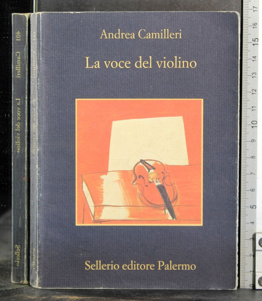 La voce del violino | Immagine principale