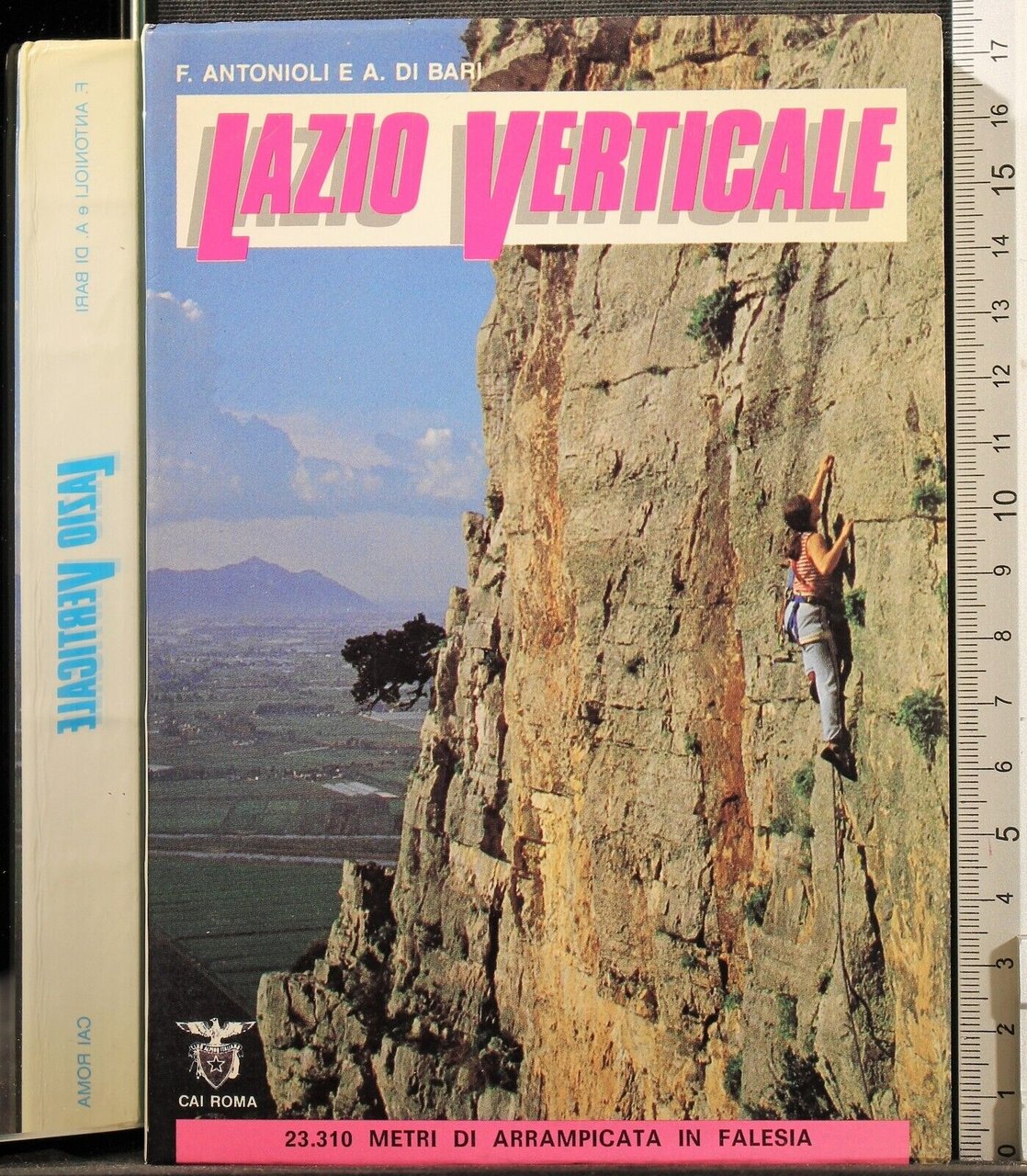 Lazio Verticale
