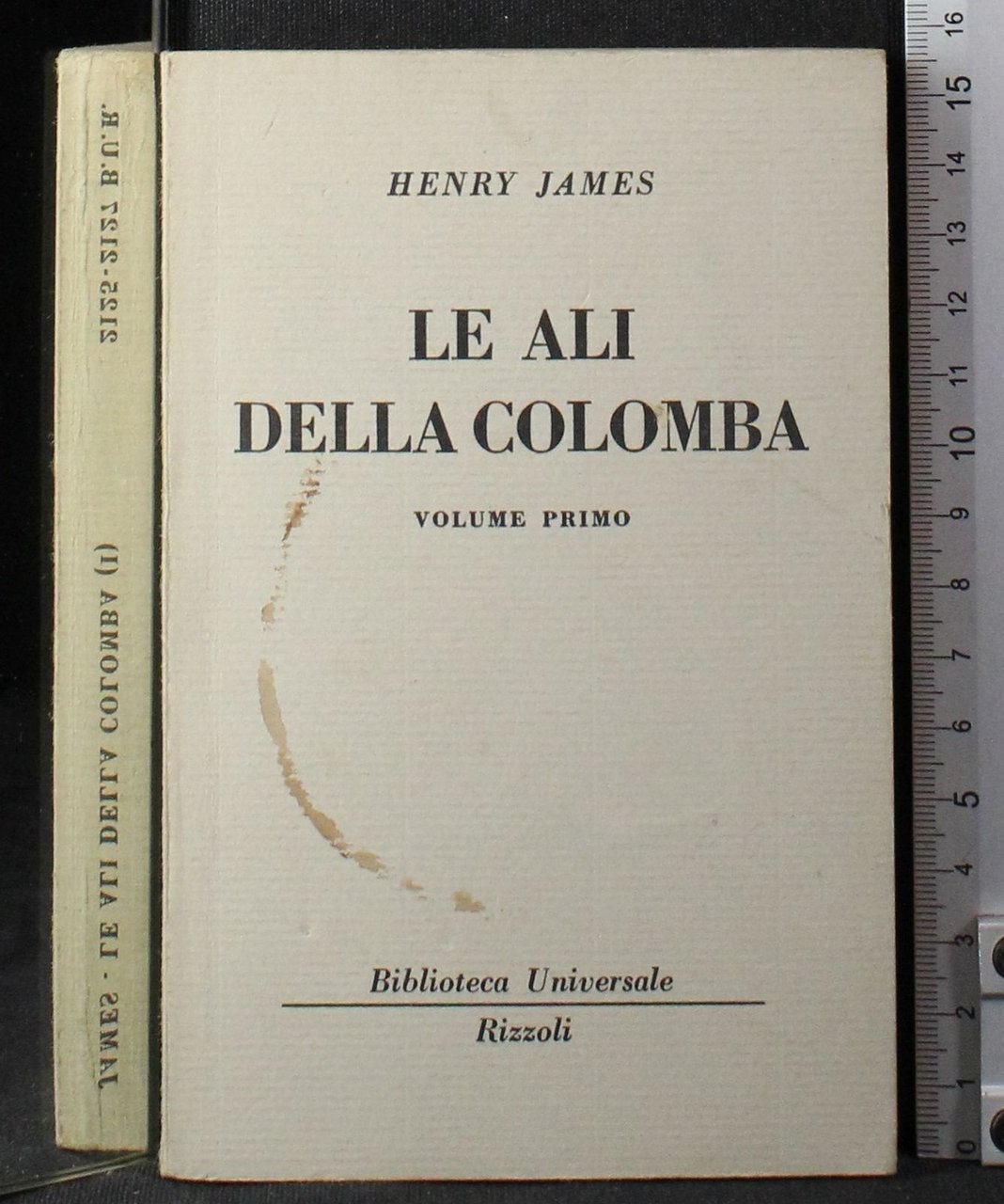Le ali della colomba. Vol 1 | Immagine principale