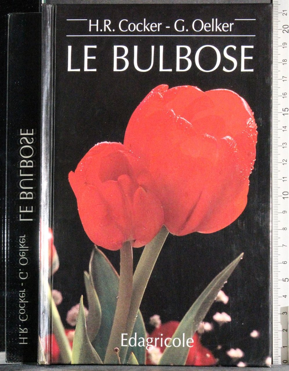 Le bulbose