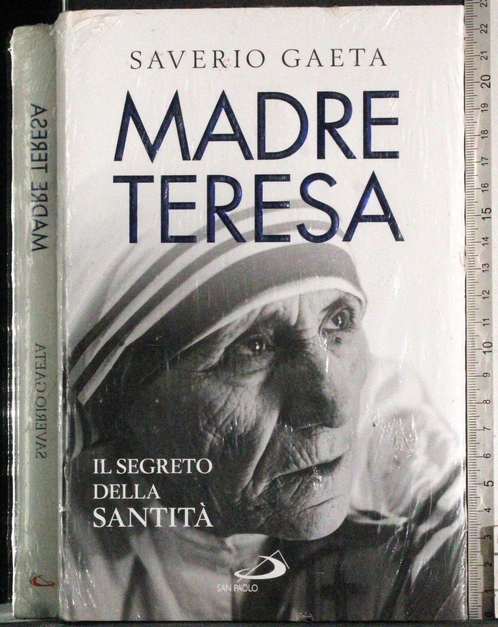 Madre Teresa