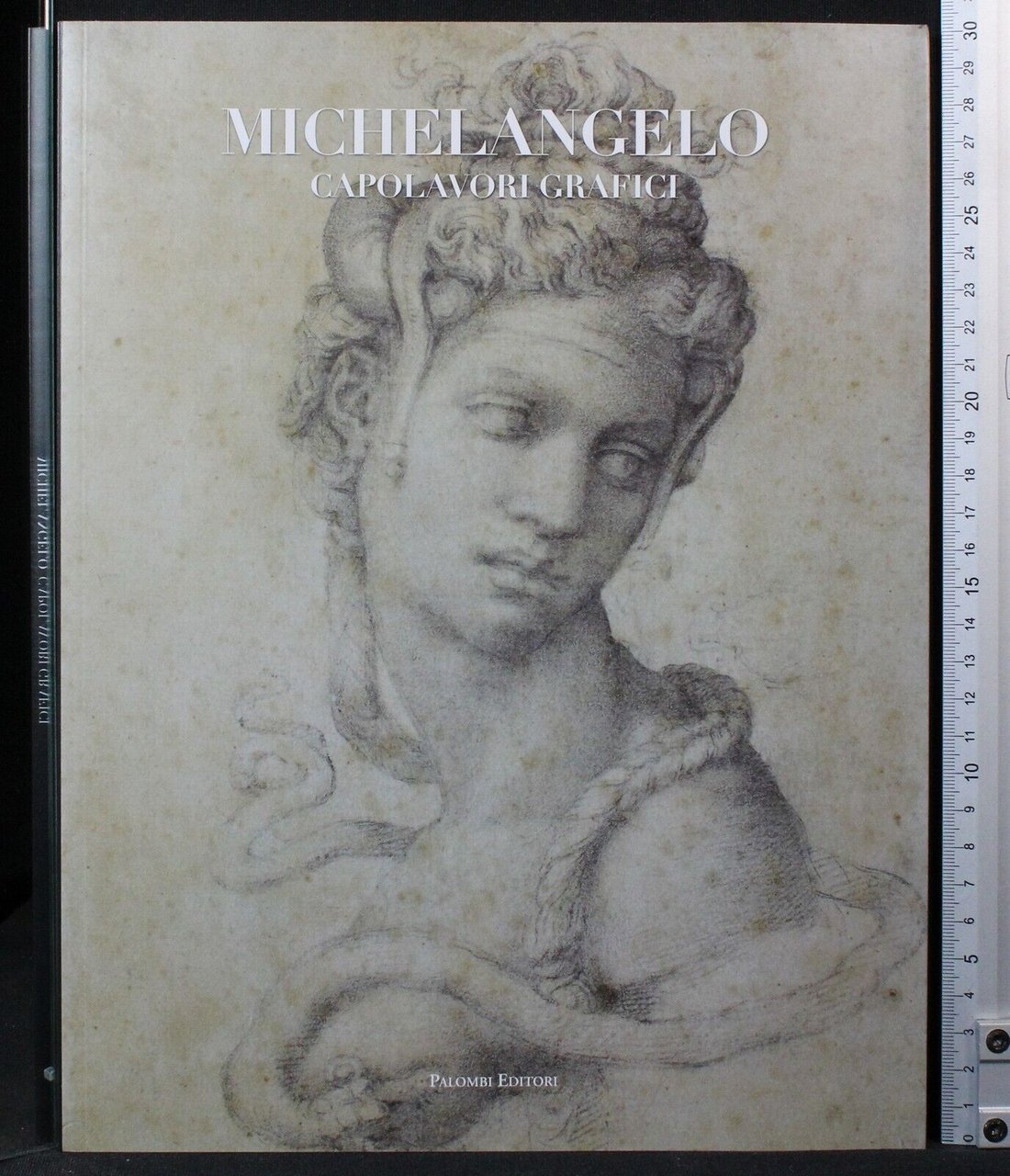 Michelangelo. Capolavori grafici | Immagine principale