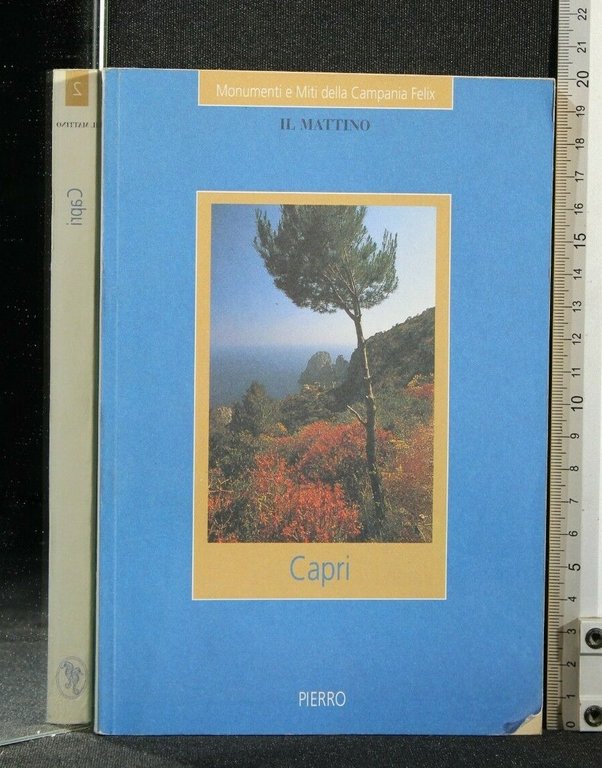 MONUMENTI E MITI DELLA CAMPANIA FELIX CAPRI | Immagine Gallery 2