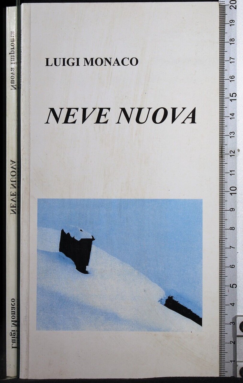 Neve nuova | Immagine principale