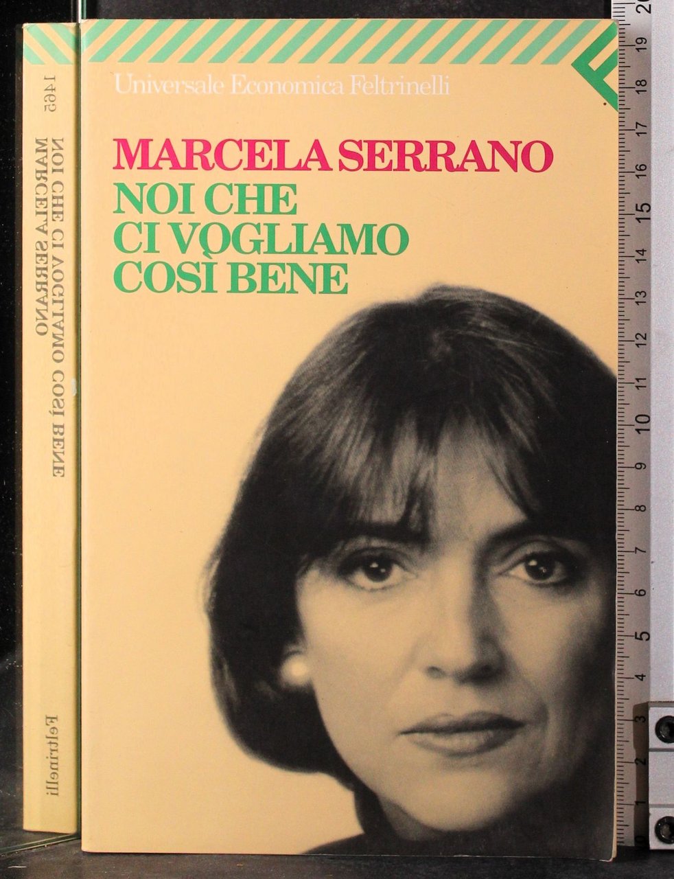 Noi che ci vogliamo così bene | Immagine principale