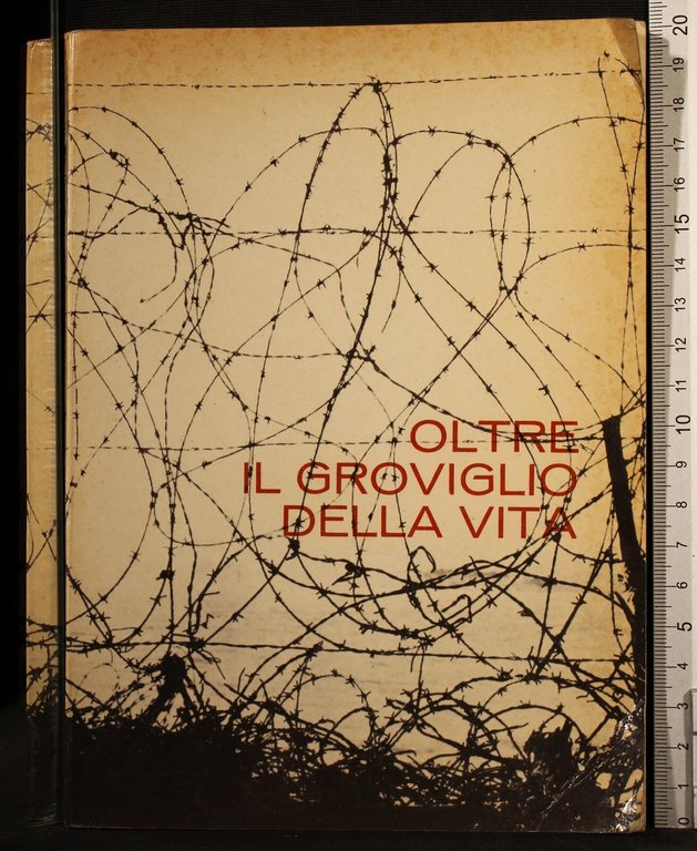 Oltre il groviglio della vita | Immagine Gallery 2