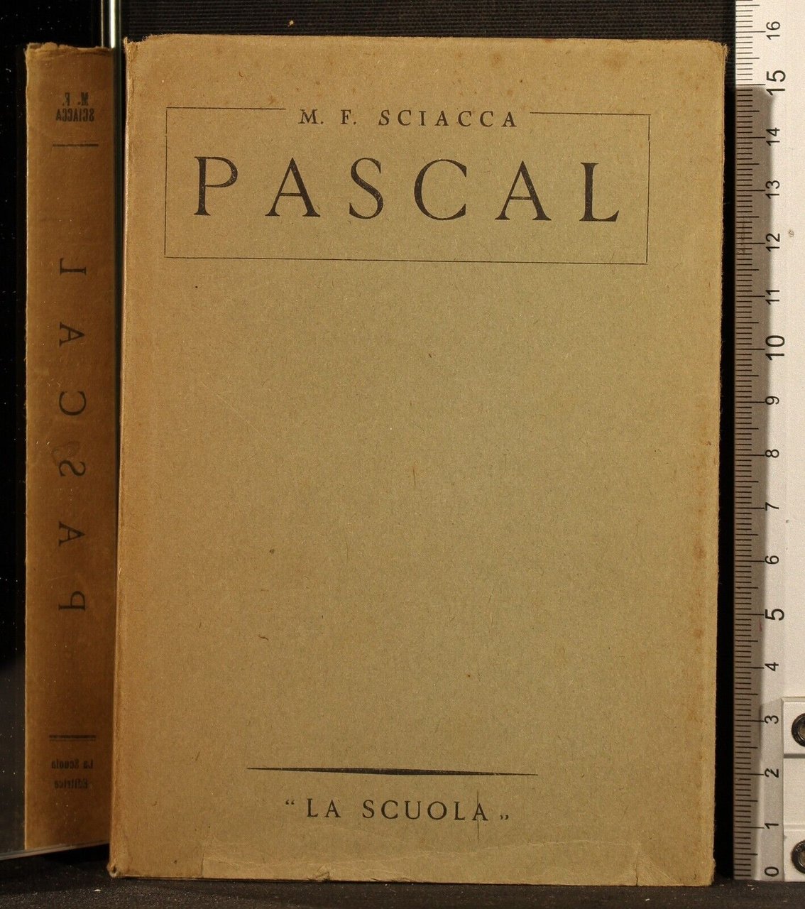 Pascal | Immagine principale