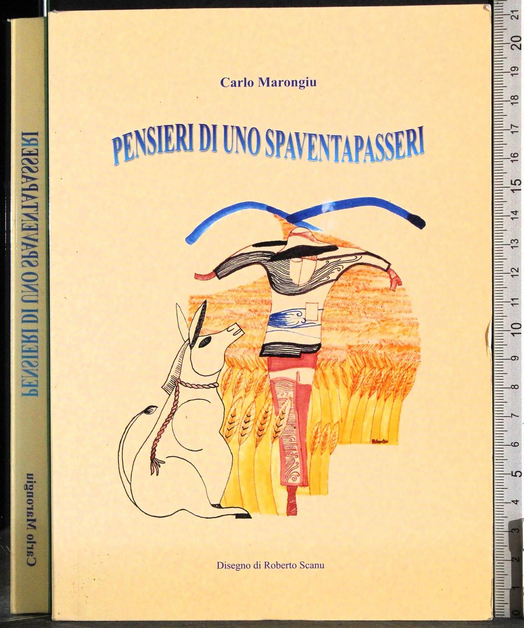 Pensieri di uno spaventapasseri