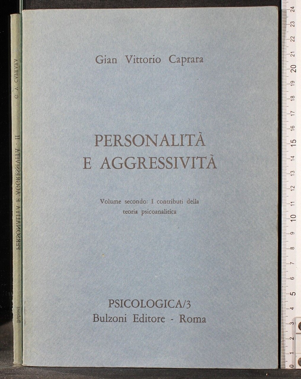 Personalità e aggressività. Vol 2 | Immagine principale