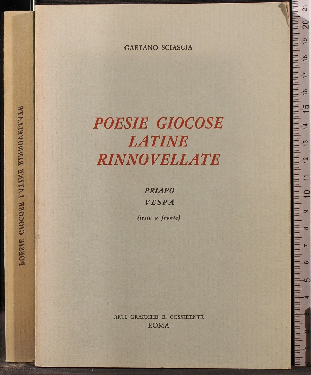 POESIE GIOCOSE LATINE RINNOVELLATE | Immagine principale