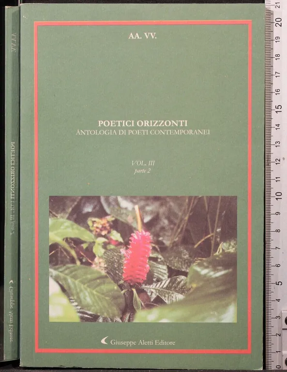 Poetici orizzonti. Vol 3. Parte 2 | Immagine Gallery 1