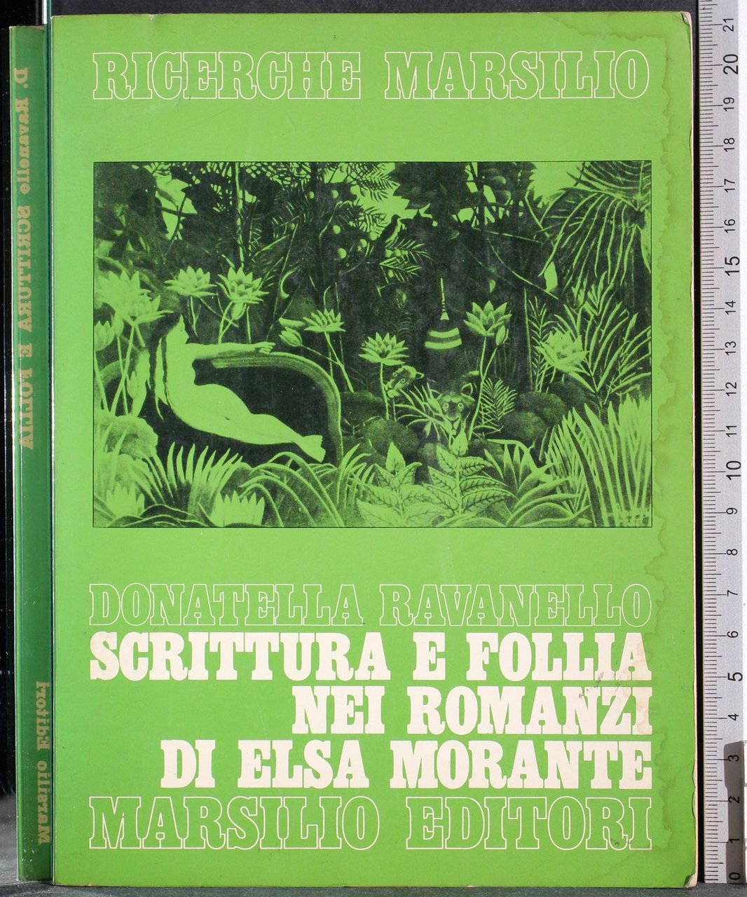Scrittura e follia nei romanzi di Elsa Morante
