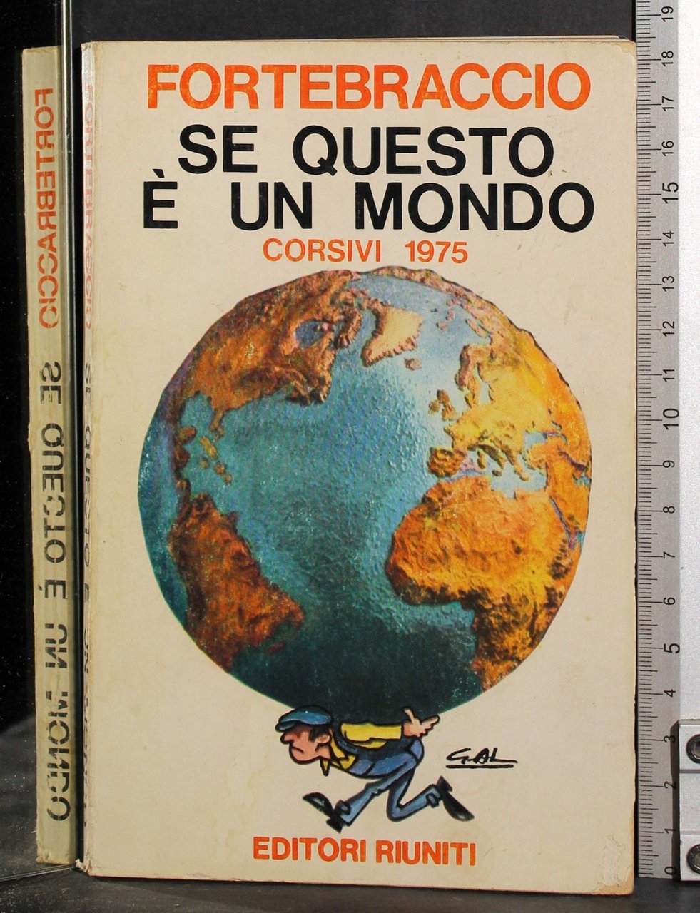 Se questo è un mondo | Immagine principale