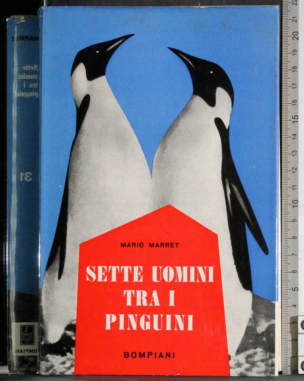 Sette uomini tra i pinguini