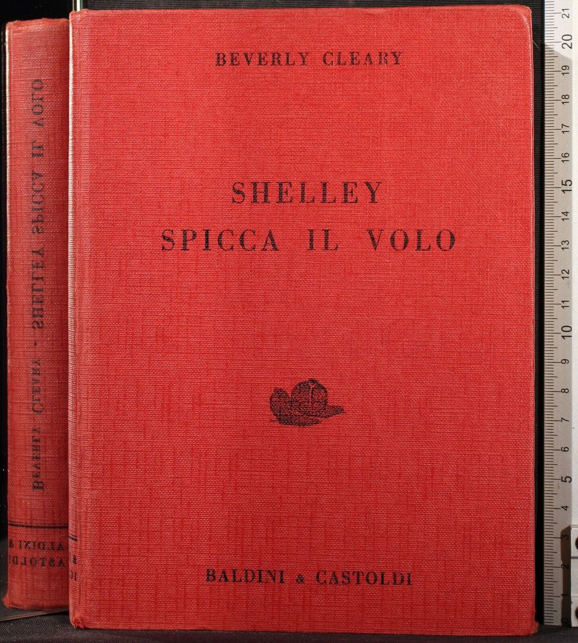 Shelley spicca il volo | Immagine principale