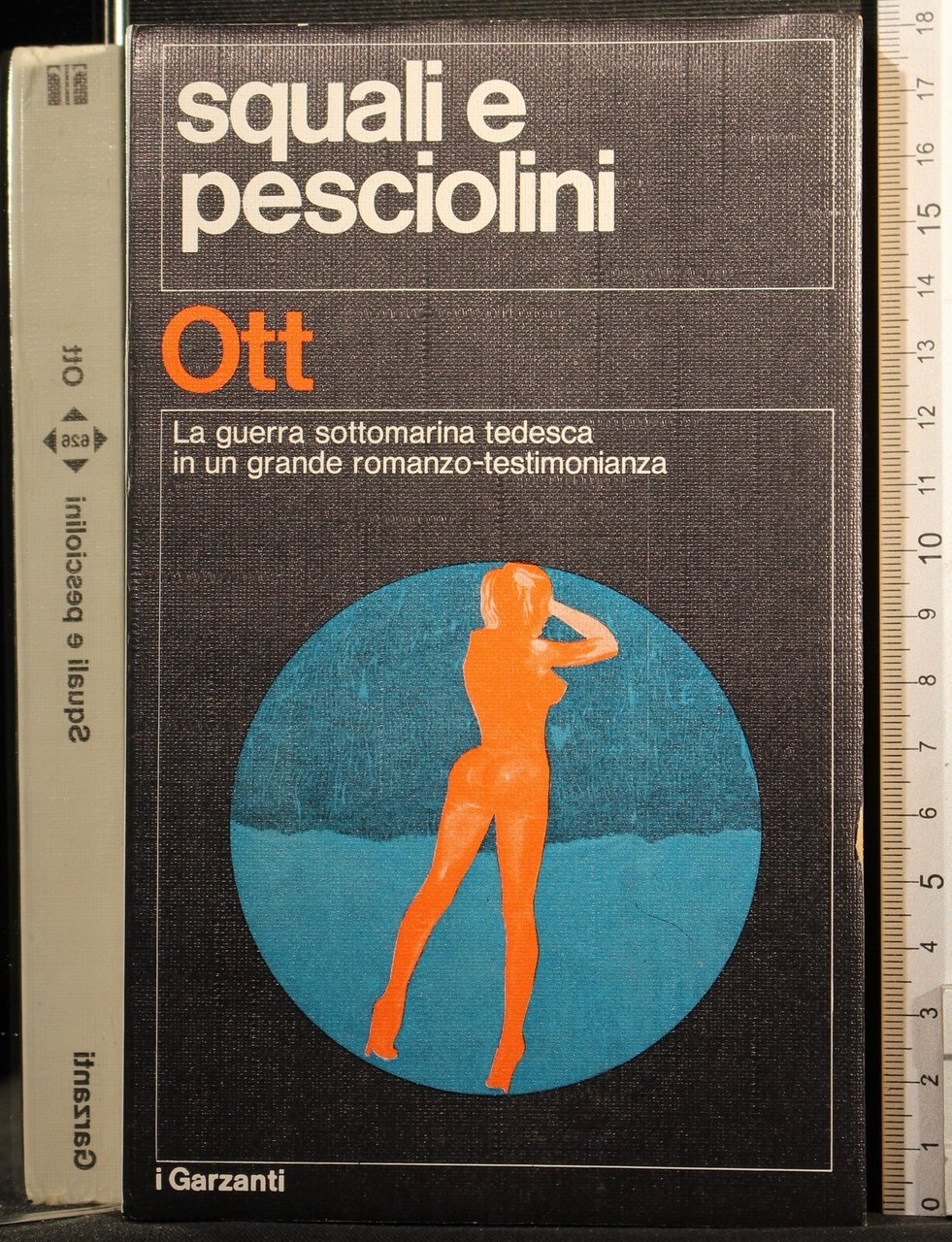 Squali e pesciolini | Immagine principale
