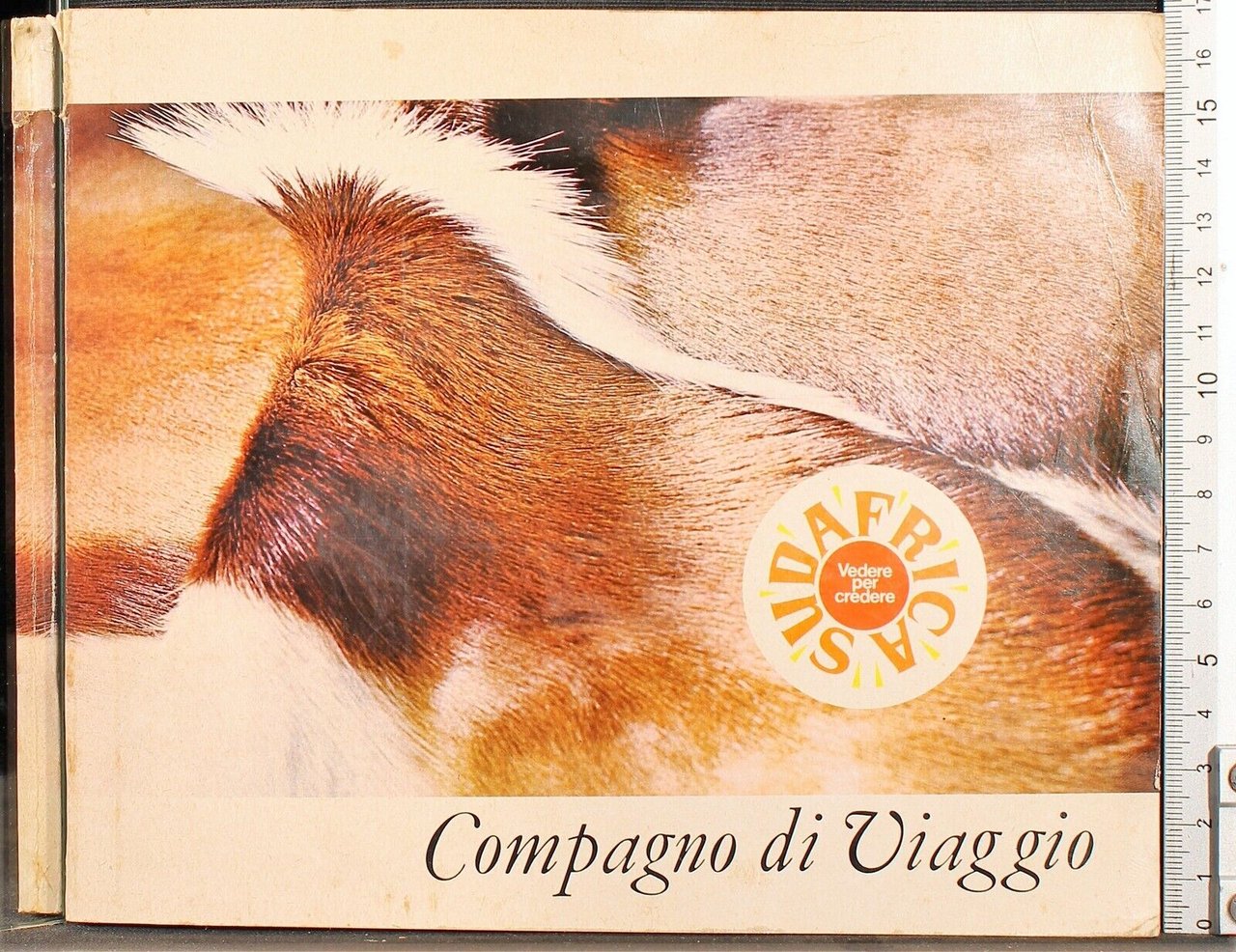 Sud Africa. Compagno di viaggio | Immagine principale