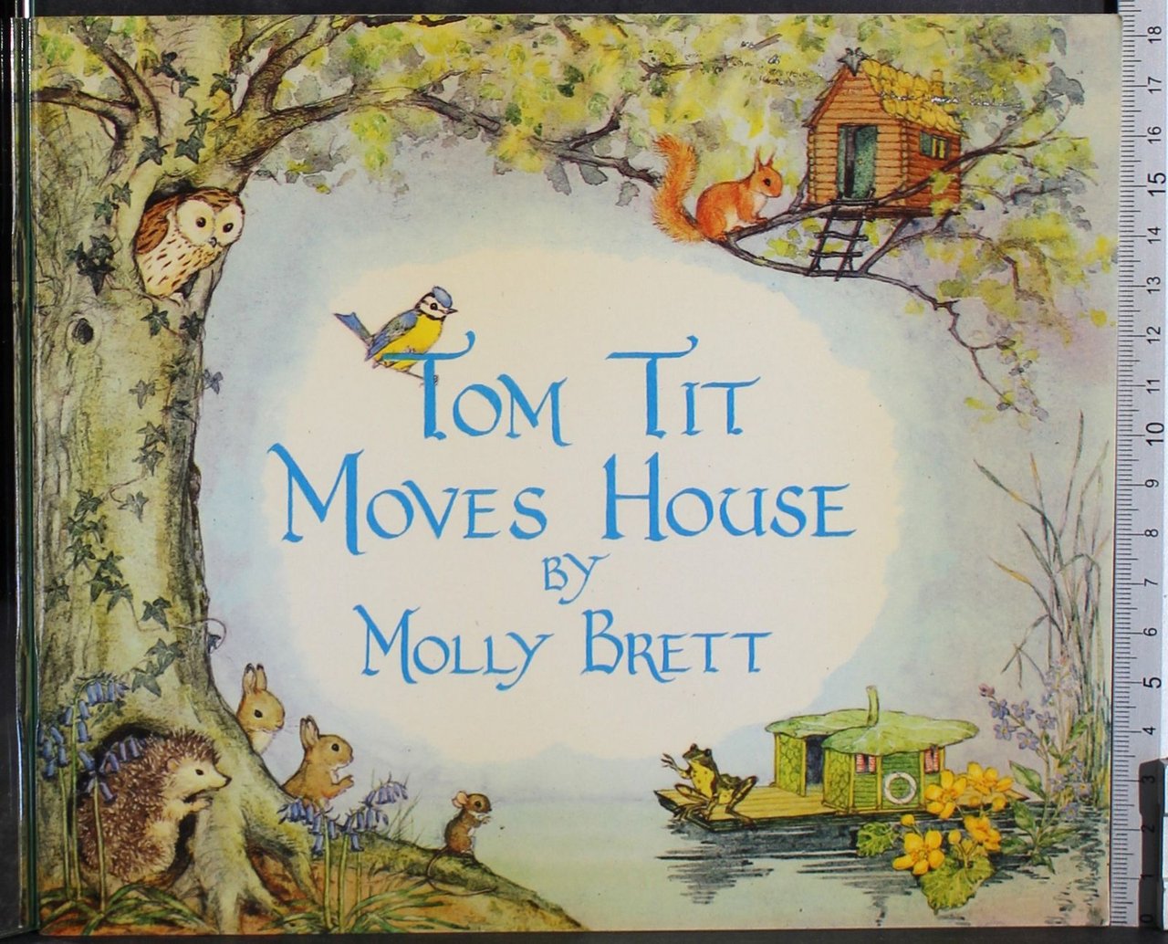 Tom tit moves house | Immagine principale