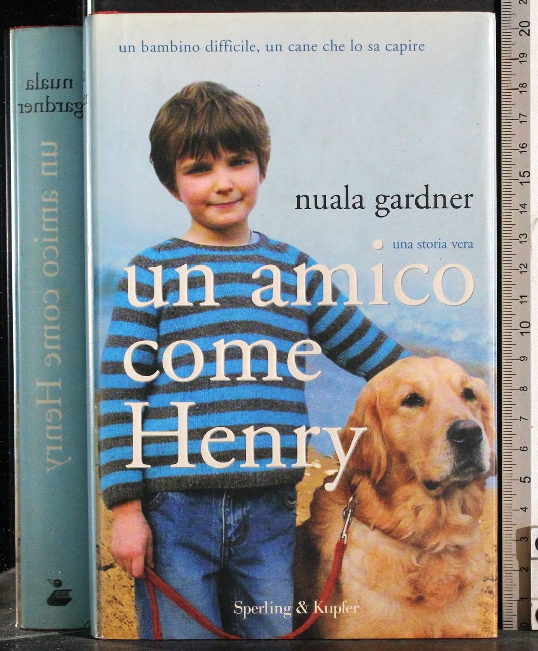 Un amico come Henry