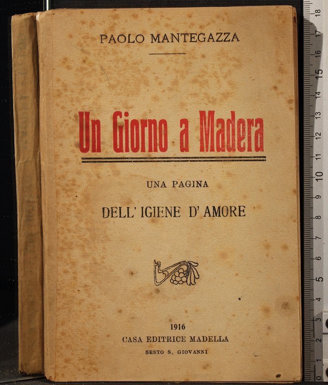 Un giorno a Madera | Immagine Gallery 2