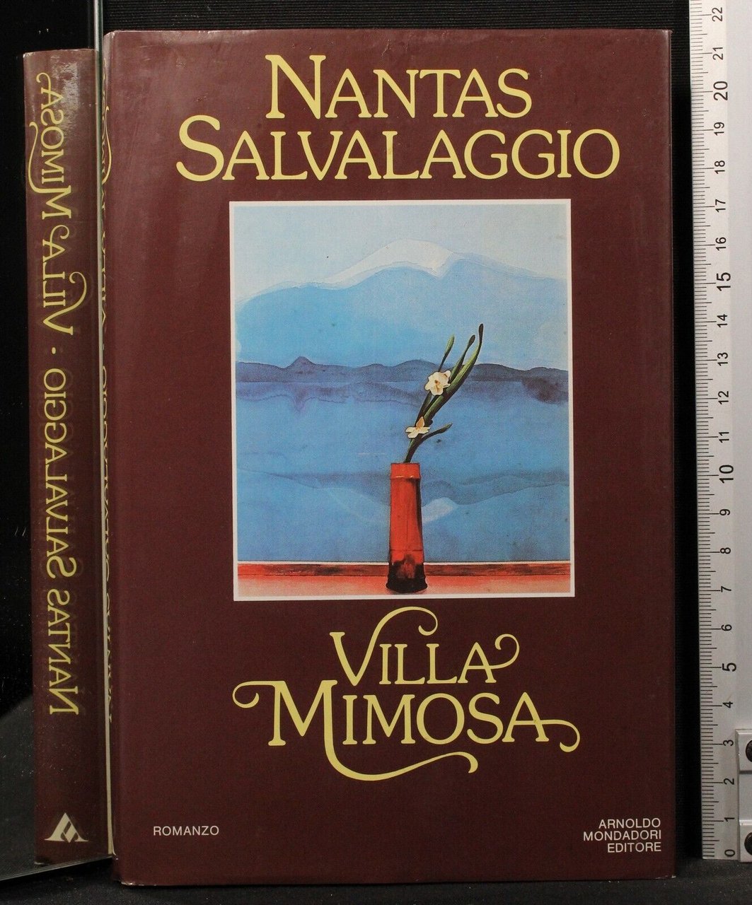 Villa Mimosa | Immagine principale