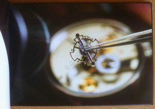 2 Fotografie moda - Elizabeth Arden - Nuova pettinatura - … | Immagine Gallery 2