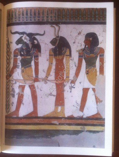 AA. VV. Il Mondo delle Forme - Grecia e Mediterraneo …