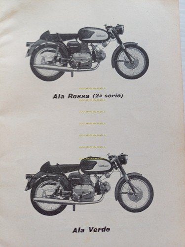 Aermacchi Harley-Davidson 250 Ala Verde-Bianca-Rossa 1961 manuale uso originale