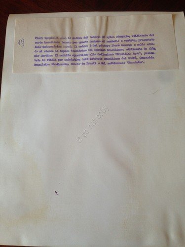 Aldemir Ihrtins Fotografia di moda con schizzo | Immagine Gallery 2