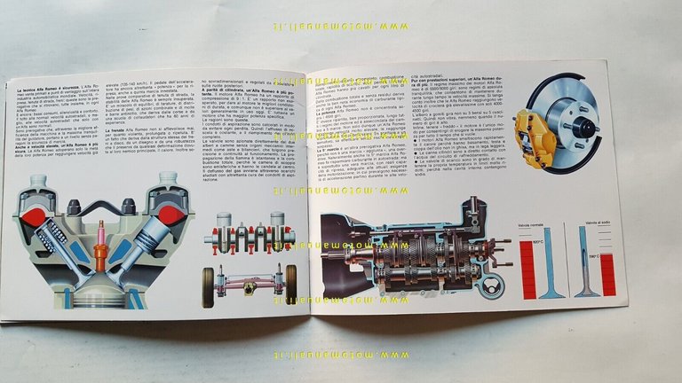 Alfa Romeo GT - Spider Junior 1972 depliant originale italiano