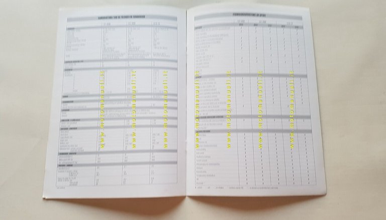 Alfa Romeo Spider 1998 depliant OLANDESE originale DUTCH text brochure