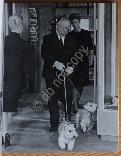 Alfred Hitchcock nei film della Universal Pictures - Skira 2019 | Immagine Gallery 2