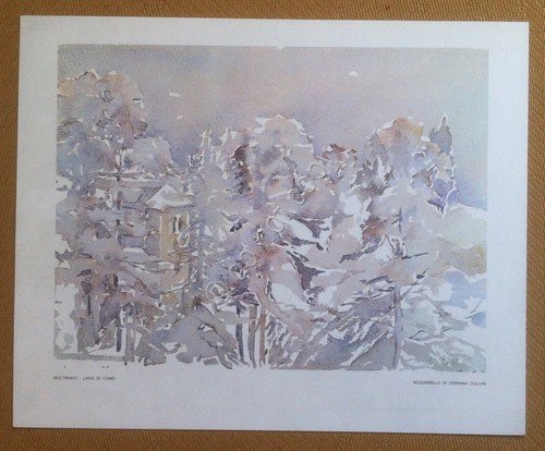 Autografo - Corinna Collini - Pittrice - su retro stampa … | Immagine Gallery 2