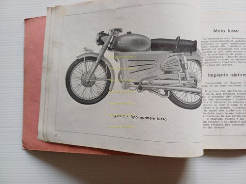 Benelli 125 Leoncino Sport - Normale 1955 manuale uso manutenzione …