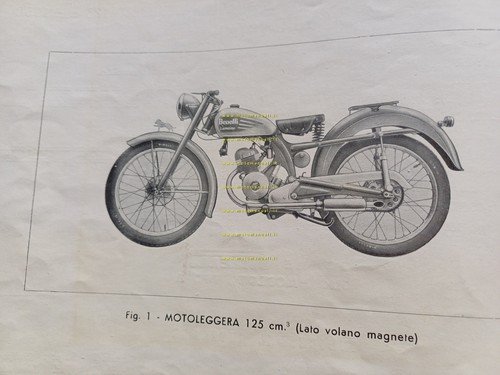 Benelli Leoncino 125 1950 catalogo ricambi originale spare parts catalog