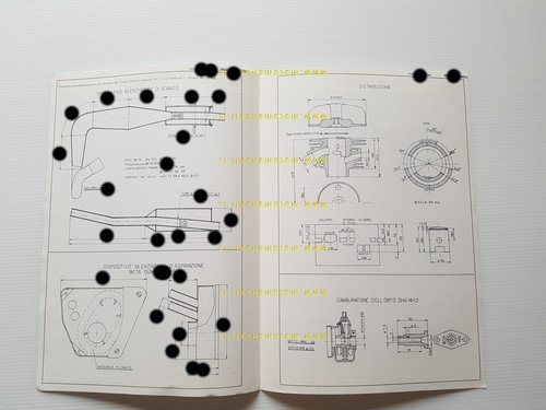 Beta Trial 50 1979 scheda omologazione DGM Facsimile originale