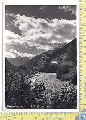 Bormio - vista sul fiume - 1952