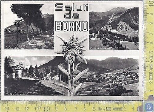 Borno (Brescia) - 1962 - Cartolina - Postcard