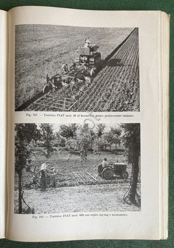 Bovolo - Agraria - Agronomia e Agricoltura - Paravia 1960 … | Immagine Gallery 2
