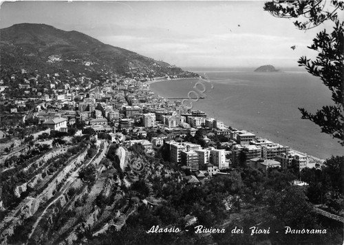 Cartolina - Alassio - Panorama - 1955 (Savona)